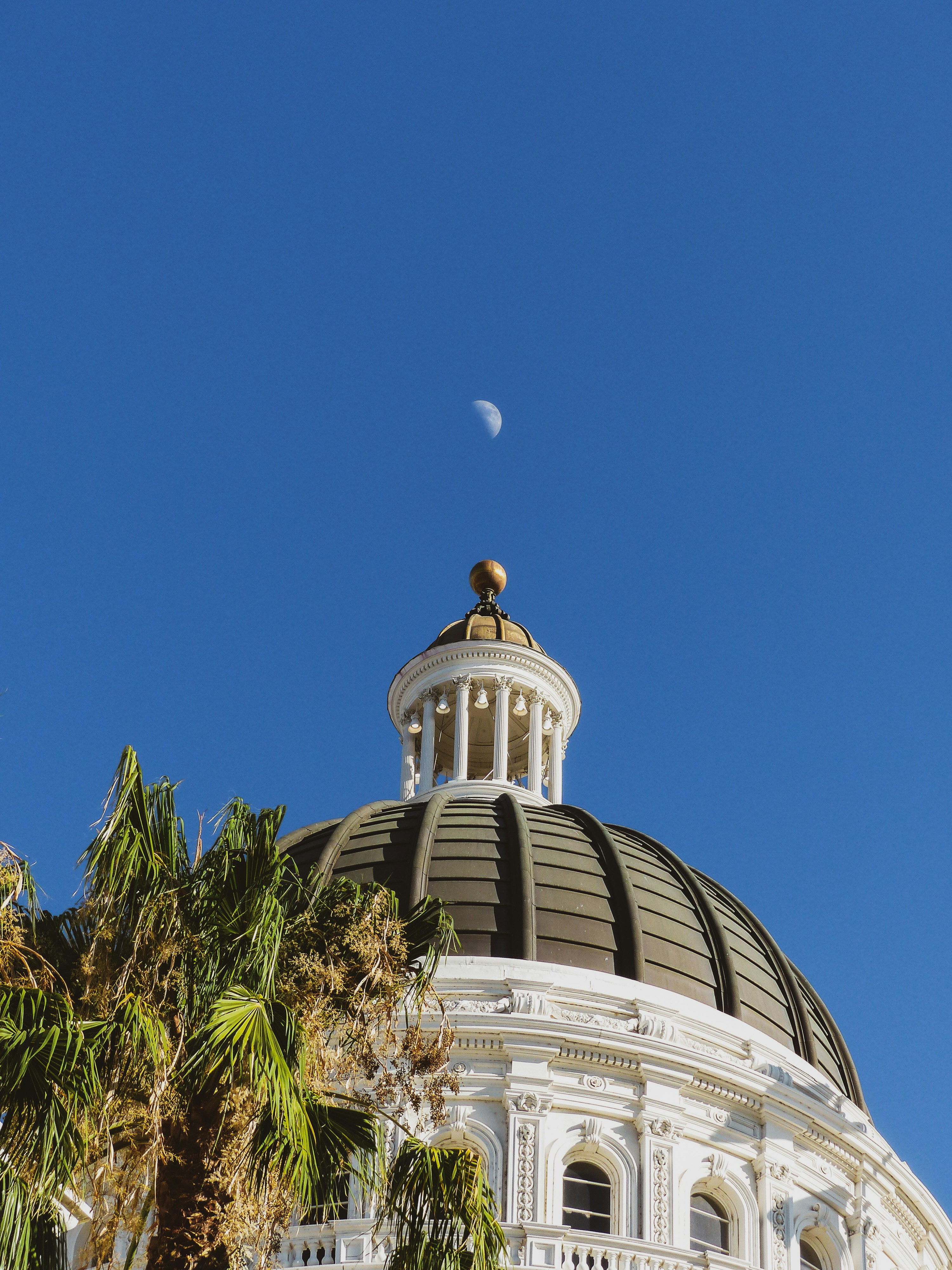 How to Find California Government Contracts (Cal eProcure)